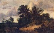 RUISDAEL, Jacob Isaackszon van Landscape with a House in the Grove about 1646